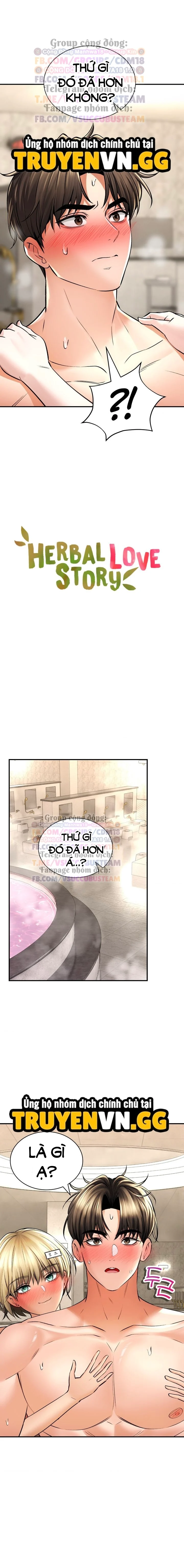Thảo Dược Mê Tình - Chapter 50 trang 3