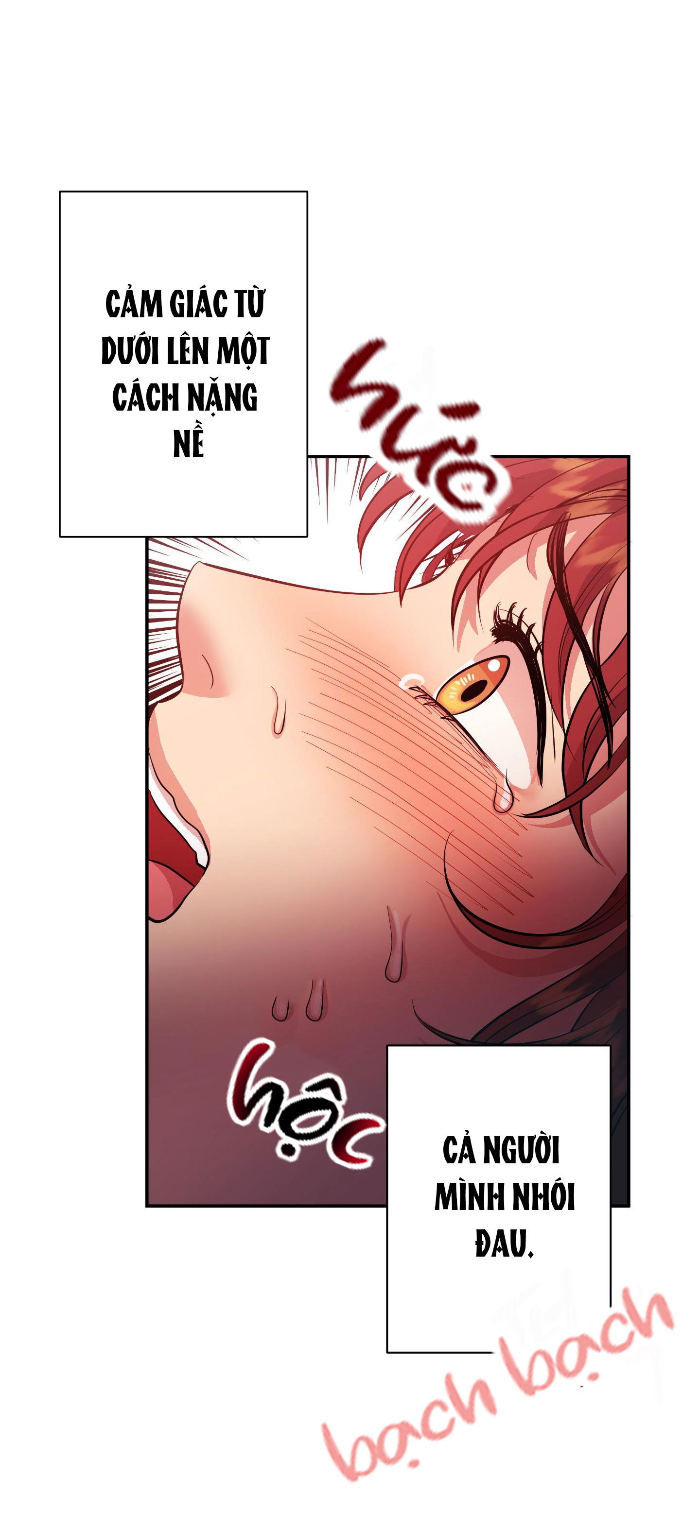 Một Lòng Một Dạ - Chapter 12 trang 12