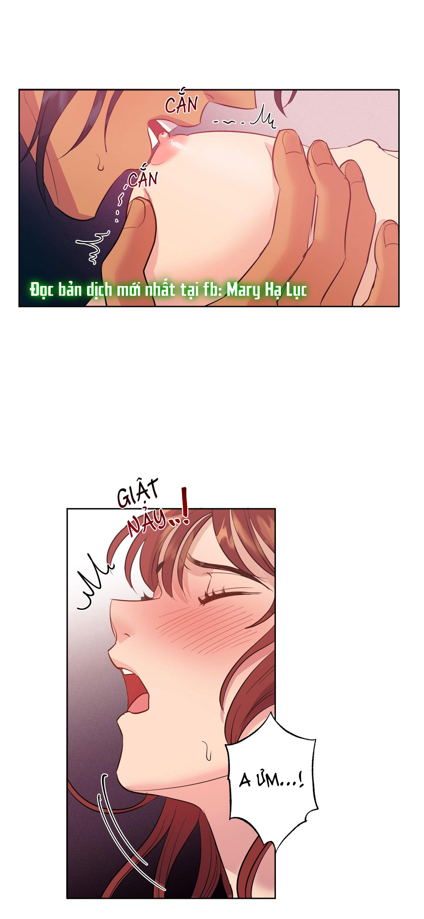 Một Lòng Một Dạ - Chapter 5 trang 6
